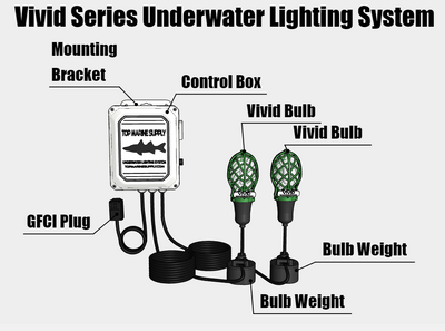 Vivid 250 Watt Underwater Dock Light - Dual Bulb Dual Bulb 250 Watt Underwater Dock Light Underwater dock lights attract marine life and provide an aquarium like experience at your dock. Small fish are attracted to the illuminated marine life and this att